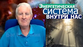 Энергетическая система внутри нас... Майк Парсонс