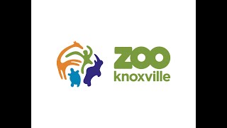 Zoo Knoxville Full Tour  Knoxville, Tennessee