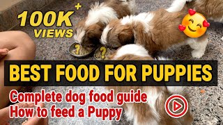 Best food for shih tzu puppies shih tzu puppy food guide and how to feed a puppy