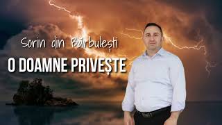 Vignette de la vidéo "Sorin din Barbulesti  - O DOAMNE PRIVEȘTE"