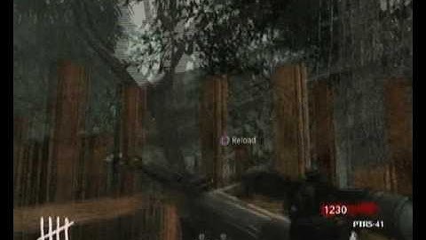 CoD5 Shi No Numa Easter Eggs