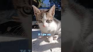 If I give you a hug 🤗