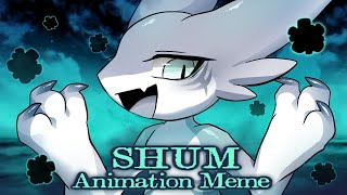 🦈SHUM💠 // Animation meme