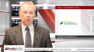 Amazonas Florestal Ltd