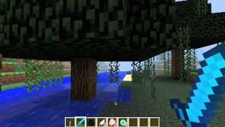 Minecraft Screenium test