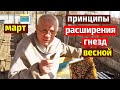 Весеннее развитие пчелиных семей Когда расширять гнезда