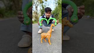 Rc Remote Control Snake 🐍 vs Big African Giraffe 🦒😍