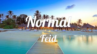 Feid - Normal ( LETRA )