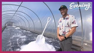 How it SALT made?  Friday Harbor entrepreneur finds niche in 'salt farming'