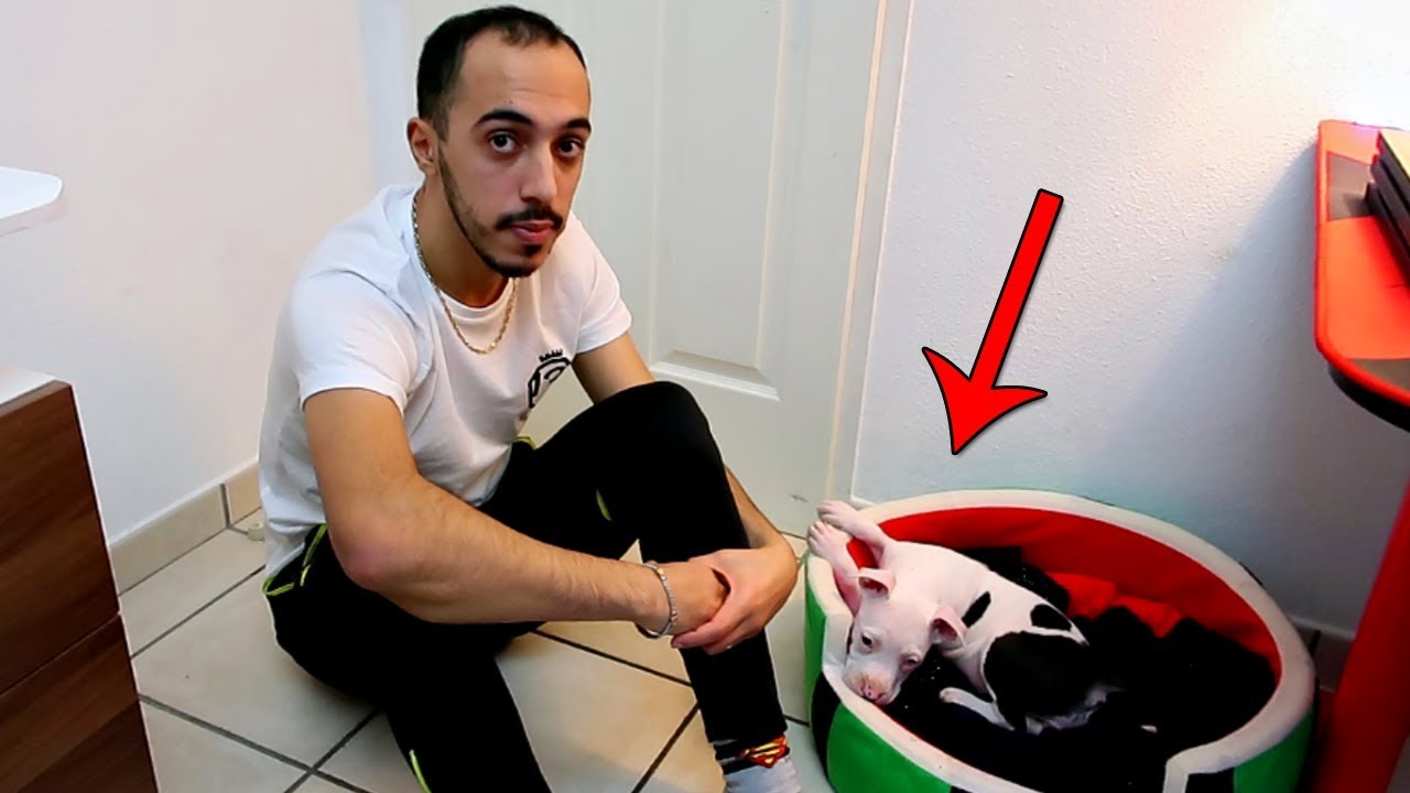 JE TESTE L’INTELLIGENCE DE MON BÉBÉ STAFF DE 2 MOIS