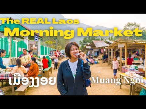 Vídeo: Guia Secreto Do Backpacker: Muang Ngoi Neua, Laos - Matador Network