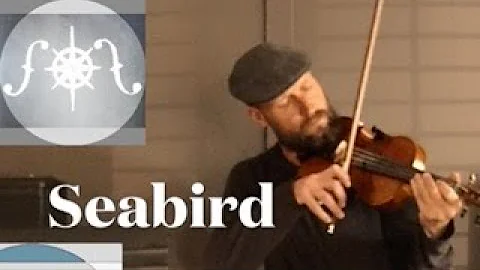Seabird, by Ben Bolin