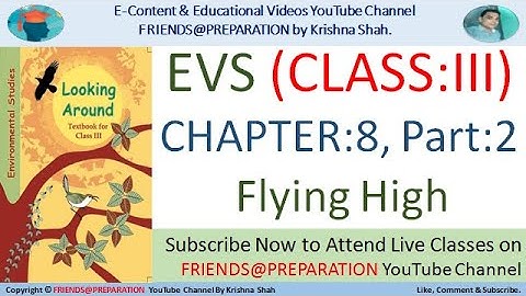 Flying High Chapter 8 : Part-2 | Class 3 EVS