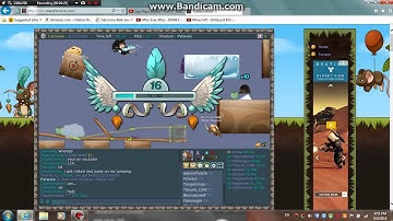 Transformice: A Random Video