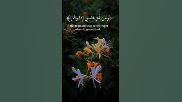 سورة الفلق بصوت الشيخ عبد الباسط عبد الصمد رحمه الله تعالى #nature #تصويري