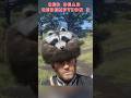 GOLD Diggers EXPOSED in Red Dead Redemption 2 Wilderness #shorts #rdr2 #gamingshorts #gaming
