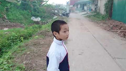 LẮP RÀO TÔN CỔNG MỚI Vườn Bà Nội | Sẵn sàng để thi công tiếp!