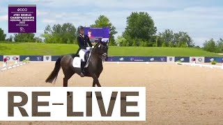 Download Lagu RE-LIVE | Young Rider - Dressage Freestyle - FEI North American Youth Championships 2022 MP3 Download Lagu RE-LIVE | Young Rider - Dressage Freestyle - FEI North American Youth Championships 2022 MP3