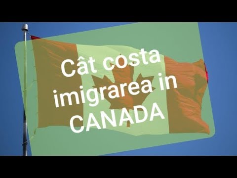 Cat costa imigrarea? | Cheltuieli minime si settlement funds