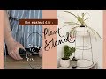 GIVE YOUR PLANTS A NEW HOME!