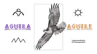 Aguila Aguilé - Cantos de Medicina chords