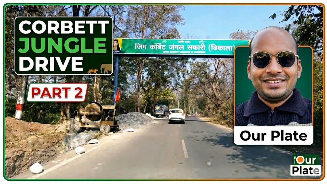 Jim Corbett Jungle Drive 🐯 Part 2: Into the Heart of the Forest! | Our Plate 24 February 2026