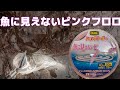 魚に見えないピンクフロロを使ってヒラスズキ釣行してきました。使用感をかるくレビューします。