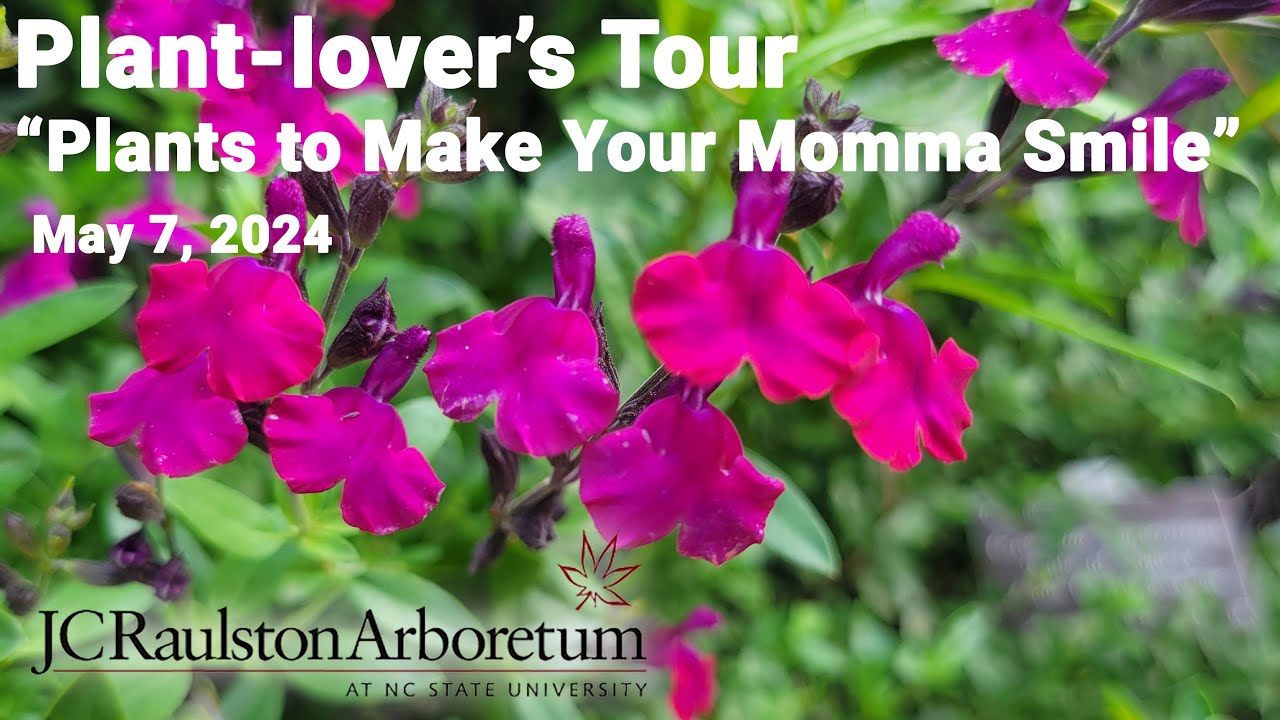 Plant-lover's Tour - "Plants to Make Your Momma Smile"