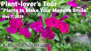 Plantlover's Tour  'Plants to Make Your Momma Smile'