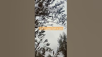 احترم القرآن الكريم #لايك #اكسبلور #راحة_نفسية
