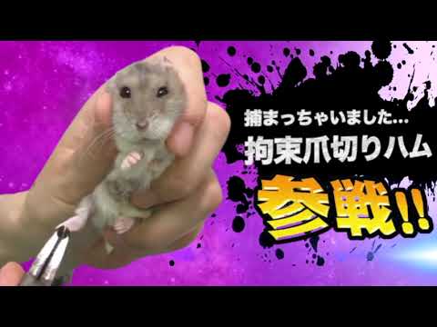 激やばアニマル全員参戦！！part37
