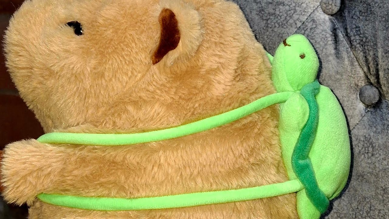 TORTUGA de Peluche – El complemento perfecto para tu capibara 🐢💖