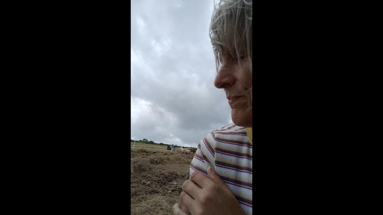 Disaster! High wind havoc, mayhem at the farm.