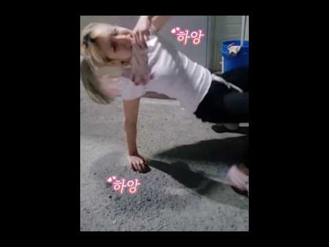 야외에 드라군의 신이 떳다 feat.목장갑