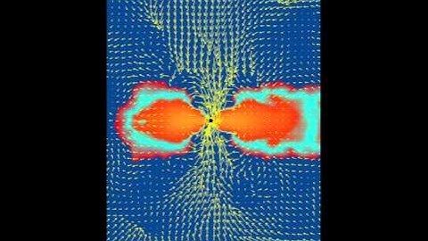 Evolution w/ Poloidal B-Field: 2D Density - Velocity Vectors (BHNS Mergers)