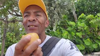 Discovering Cayman beaches.