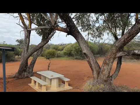 Free Camp WA Camel Soak - One of My Favourites. Maps Included. 4 Hours North of Perth near Perenjori