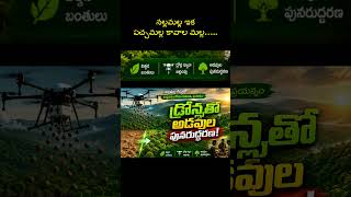 చెట్ల జీవితకాలం రెండింతలు చేసిన ఆవిష్కరణ | చూడండి #TrendingNews