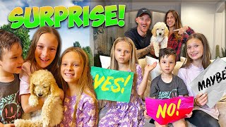 YES or NO Challenge Ends With a NEW PUPPY SURPRISE!