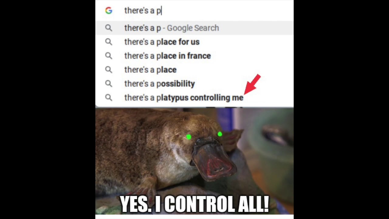 Funniest 'Google Search' Memes - YouTube