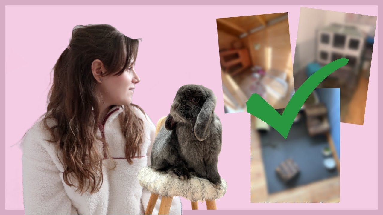 Reagerar på mina följares kanin - setups | DEL 2