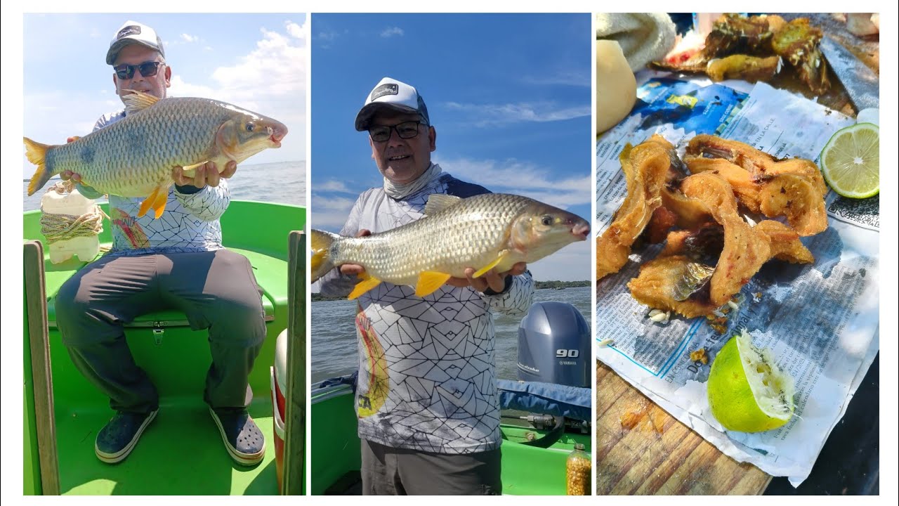 Pesca y Frito de Bogas en Paso de la Patria Ctes #amigosdepesca