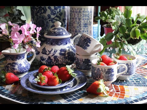 Teatime 446