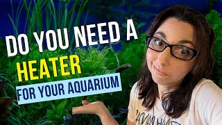 Do You Need An Aquarium Heater For Your Fish Tank