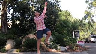 Caryota Gigas, The Giant Fishtail Palm