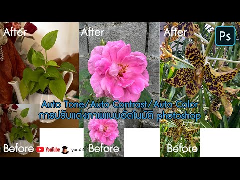 ผลสลากกินแบ่งรัฐบาล วันที่ 1 พย. 2567