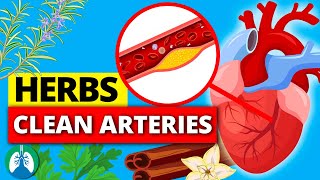 Top 10 Herbs to Clean Your Arteries that Can Prevent a Heart Attack