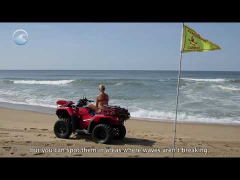 Rip Current Science