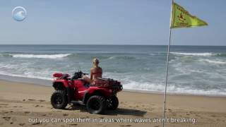 Rip Current Science