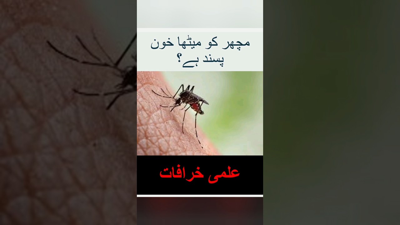 Science myth: Mosquitoes Prefer Sweet or Certain Types of Blood  